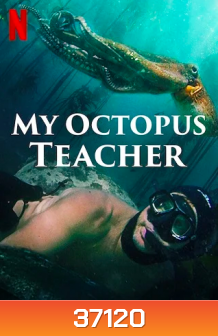 My Octopus Teacher (2020) บทเรียนจากปลาหมึก