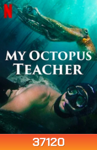 My Octopus Teacher (2020) บทเรียนจากปลาหมึก