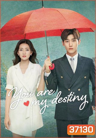 You Are My Destiny (2020) พรหมลิขิตนี้คือเธอ (36 ตอนจบ)