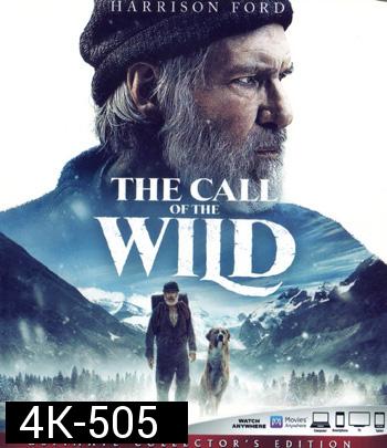 4K - The Call of the Wild (2020) เสียงเพรียกจากพงไพร - แผ่นหนัง 4K UHD