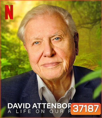 David Attenborough: A Life on Our Planet (2020) เดวิด แอทเทนเบอเรอห์: ชีวิตบนโลกนี้