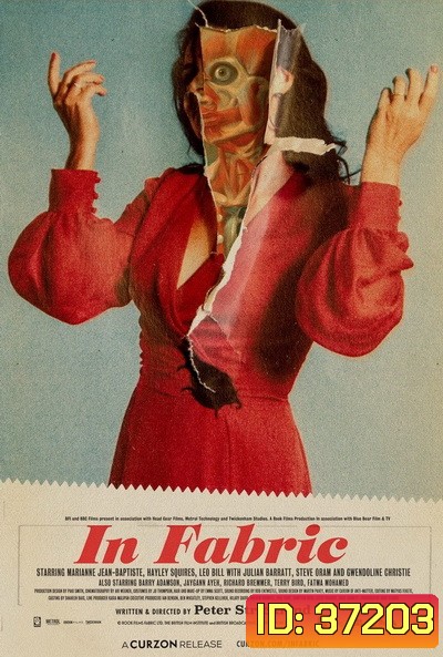 In Fabric (2019)