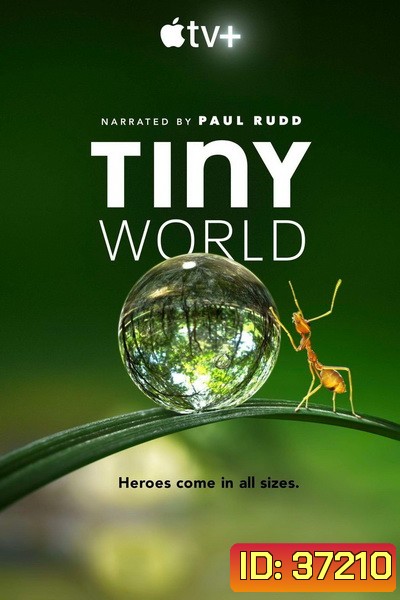 Tiny World 2020 ( EP1-6 ยังไม่จบ อีก 6 ตอนจะมาอีกทีในปีหน้า )