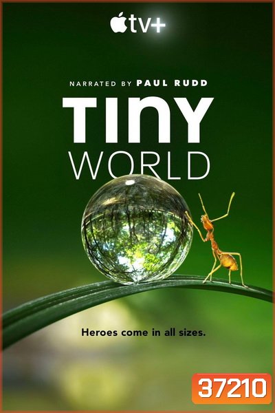 Tiny World 2020 ( EP1-6 ยังไม่จบ อีก 6 ตอนจะมาอีกทีในปีหน้า )