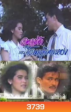 ดอกฟ้ากับโดมผู้จองหอง