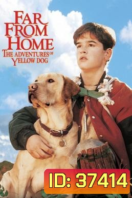 Far from Home: The Adventures of Yellow Dog 1995 เพื่อนรักแสนรู้