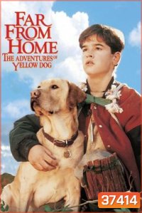Far from Home: The Adventures of Yellow Dog 1995 เพื่อนรักแสนรู้