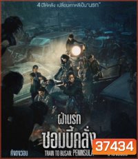 Train to Busan 2 Peninsula (2020) ฝ่านรกซอมบี้คลั่ง