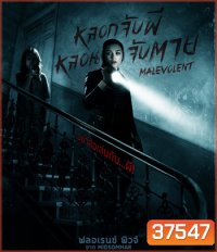 Malevolent หลอกจับผีหลอนจับตาย