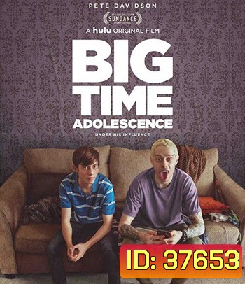 Big Time Adolescence (2019)