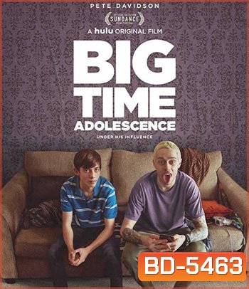 Big Time Adolescence (2019)
