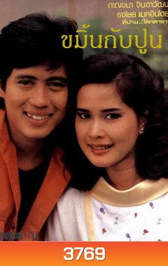 ขมิ้นกับปูน