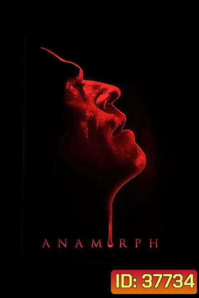 Anamorph (2007) แกะรอยล่าฆาตกรโหด