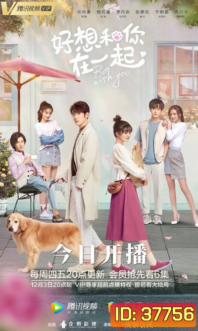ละลายรักนายมาดนิ่ง Be With You [ EP.1-24 END ]