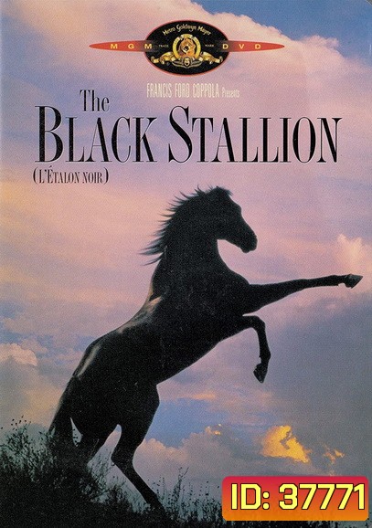 The Black Stallion (1979) อาชาเพื่อนยาก