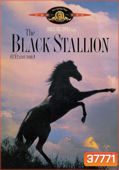 The Black Stallion (1979) อาชาเพื่อนยาก