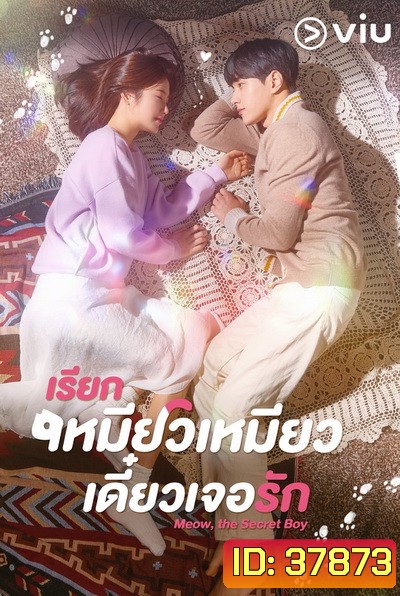 Meow, the Secret Boy เรียกเหมียวเหมียว เดี๋ยวเจอรัก ( Ep.1-24/End )