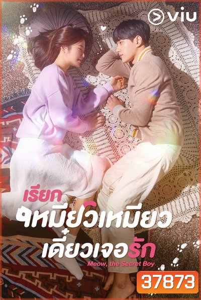 Meow, the Secret Boy เรียกเหมียวเหมียว เดี๋ยวเจอรัก ( Ep.1-24/End )