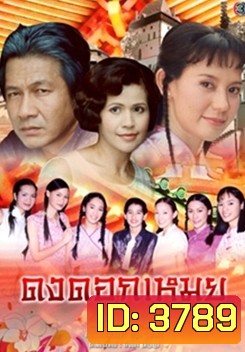 ดงดอกเหมย