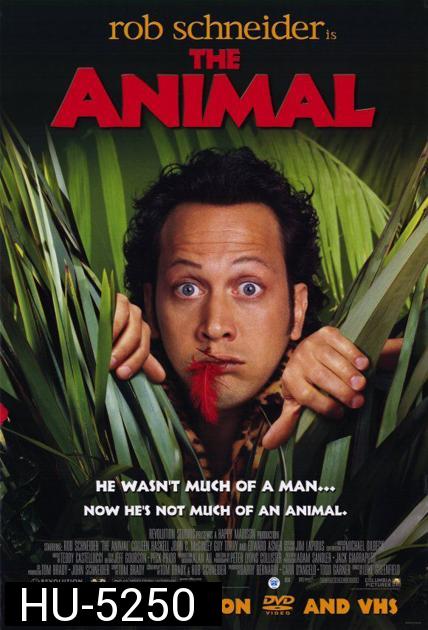 The Animal คนพิลึก ยึดร่างเพี้ยน ( 2001 )