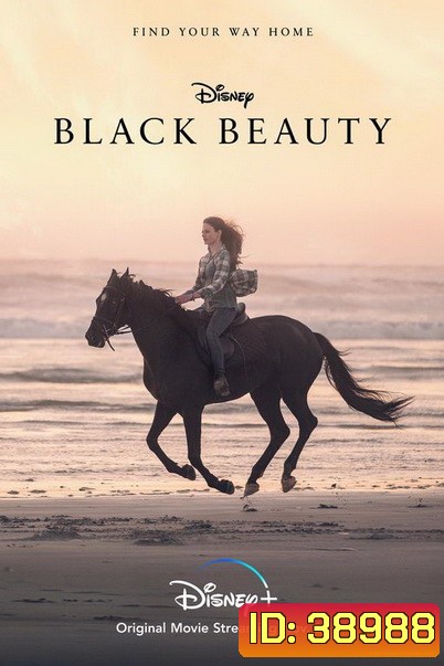 Black Beauty (2020) ความงามสีดำ