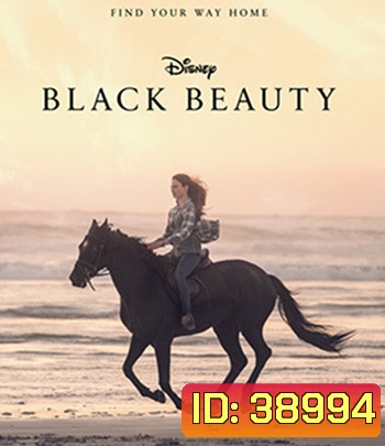 Black Beauty (2020)