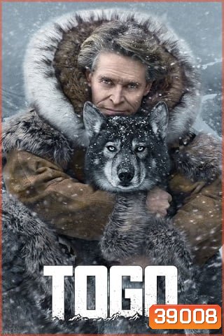 Togo (2019) หมาป่า โตโก
