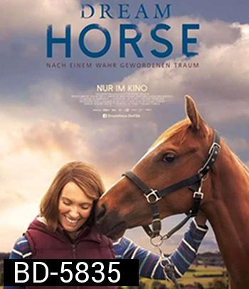 Dream Horse (2020) อาชาล่าฝัน