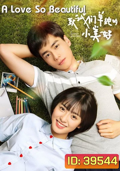 A Love So Beautiful รักนี้มีไว้เพื่อเธอ (23 ตอนจบ+Special)