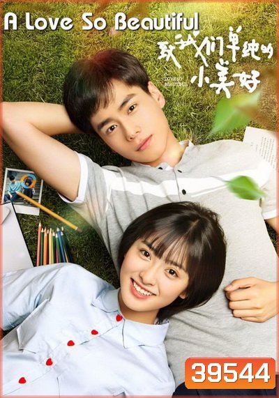 A Love So Beautiful รักนี้มีไว้เพื่อเธอ (23 ตอนจบ+Special)