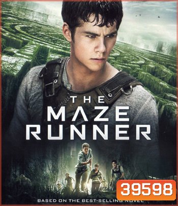 4K The Maze Runner (จัดชุด 2 ภาค)