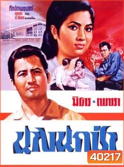 นางนกป่า (2509) (มิตร ชัยบัญชา เพชรา เชาวราษฎร์)