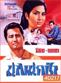 นางนกป่า (2509) (มิตร ชัยบัญชา เพชรา เชาวราษฎร์)