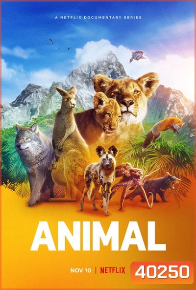 Animal (TV Series 2021) สัตว์มหัศจรรย์ Season 1