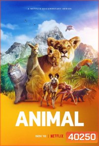 Animal (TV Series 2021) สัตว์มหัศจรรย์ Season 1