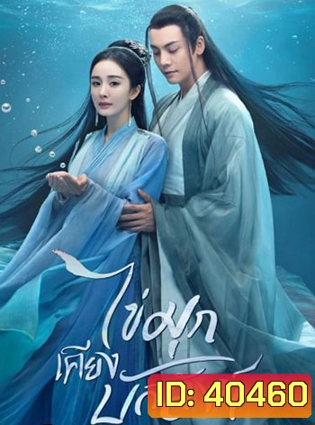 ไข่มุกเคียงบัลลังก์ Novoland Pearl Eclipse [2021]