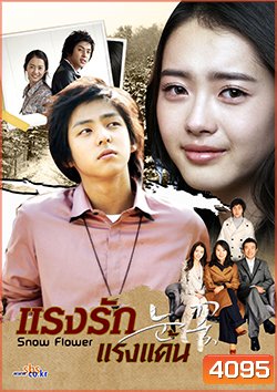 Snow Flower แรงรัก แรงแค้น (Snow Flakes)