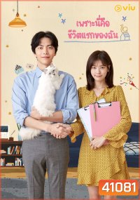 Because This Is My First Life เพราะนี่คือชีวิตแรกของฉัน ( 16ตอนจบ )