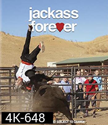 4K - Jackass Forever (2022) แจ็คแอส ฟอร์เอฟเวอร์ - แผ่นหนัง 4K UHD
