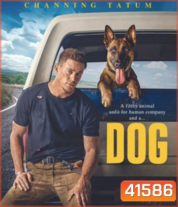 Dog (2022) ด็อก เพื่อนกันพันธุ์ห้าว