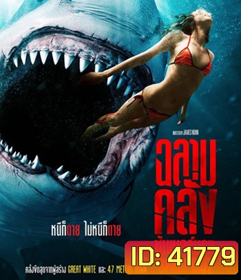Shark Bait (2022) ฉลามคลั่ง ซัมเมอร์นรก