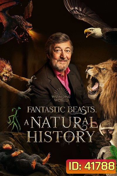 Fantastic Beasts A Natural History (2022)