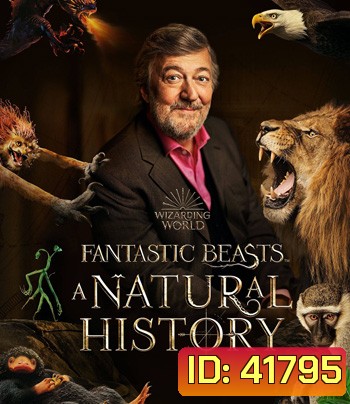 Fantastic Beasts A Natural History (2022)