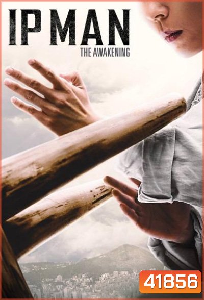 Ip Man The Awakening (2022)