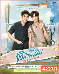 ขั้วฟ้าของผม (Sky In Your Heart) 8 ตอนจบ