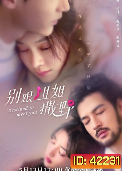 Destined to meet you (2022) เดสทินี รักนี้พี่ขอ (20 ตอนจบ)