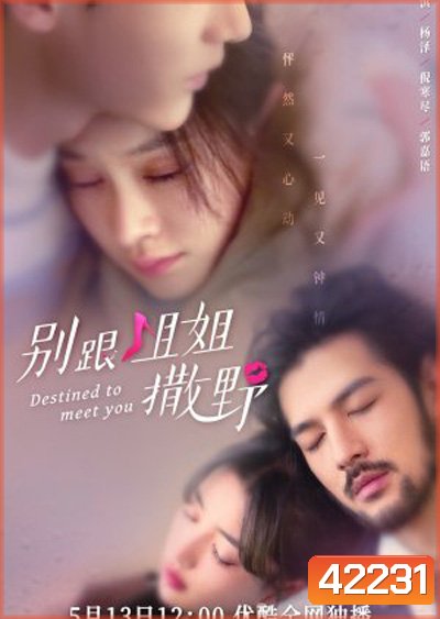 Destined to meet you (2022) เดสทินี รักนี้พี่ขอ (20 ตอนจบ)