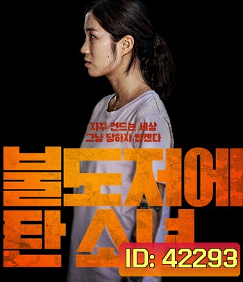 The Girl on a Bulldozer (2022)