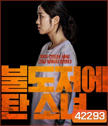 The Girl on a Bulldozer (2022)