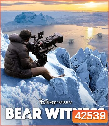 4K - Bear Witness (2022) - แผ่นหนัง 4K UHD